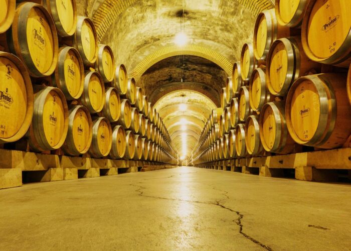 Corso di Degustazione