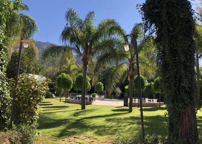 Proiezione Film alla rotonda