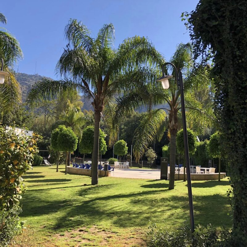 Film all’aperto domenica 23 luglio