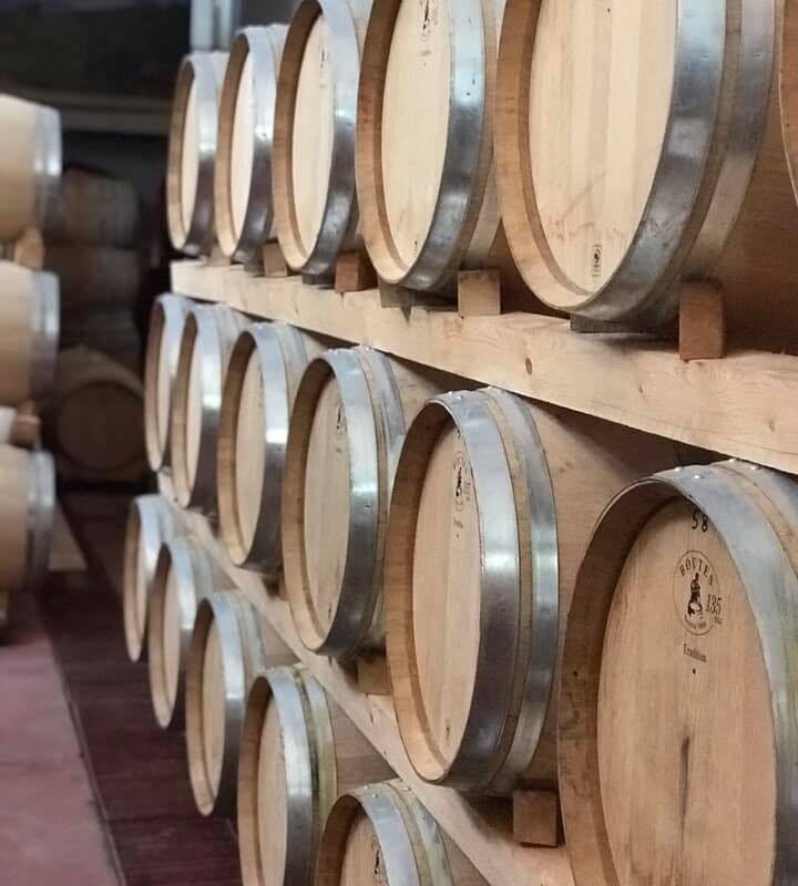 Corso sul vino