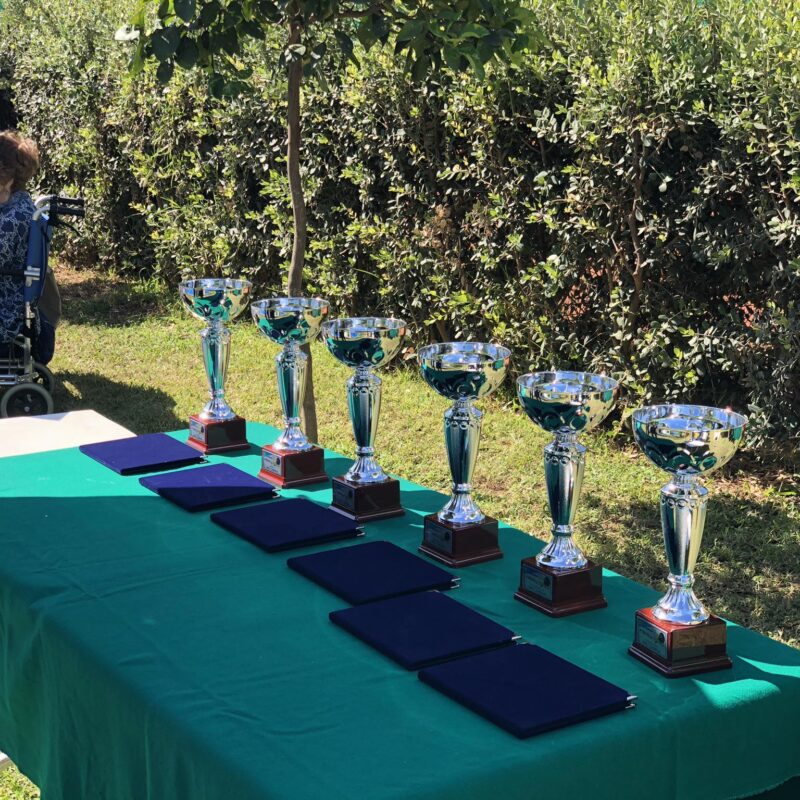 Torneo Open e veterani padel: domenica 15 settembre dalle 16 le 3 finali