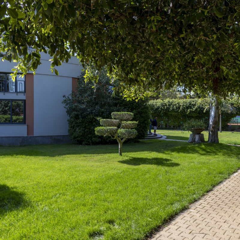 Elezioni Ctp 2025 -2028: ecco i risultati relativi ai deputati