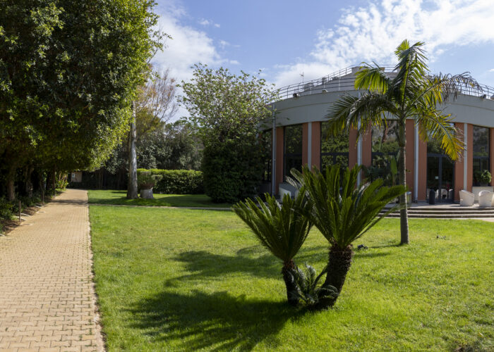 Elezioni Ct Palermo quadriennio 2025 – 2028