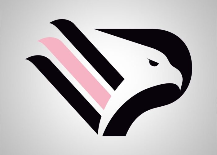 Partite del Palermo su DAZN