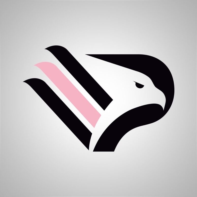 Partite del Palermo su DAZN